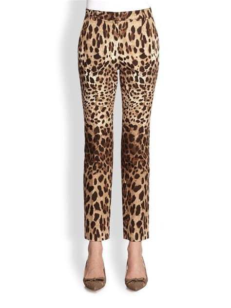 dolce gabbana leopard pants|dolce and gabbana leather pants.